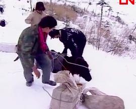 中国大陆纪录片《最后的马帮》高清下载-八六三纪录片资源网