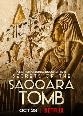 美国纪录片《塞加拉陵墓揭秘 Secrets of the Saqqara Tomb》高清下载-八六三纪录片资源网