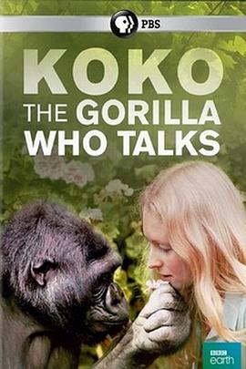 可可:能和人类说话的大猩猩 Koko: The Gorilla Who Talks to People的海报