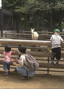 日本纪录片《纪实72小时 川崎 山丘上的动物园 ドキュメント72時間：川崎 丘の上の動物公園》高清下载-八六三纪录片资源网