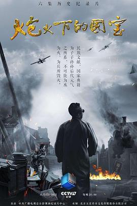 炮火下的国宝的海报