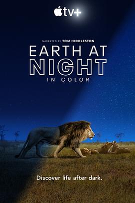 美国纪录片《夜色中的地球 第一季 Earth at Night in Color Season 1》高清下载-八六三纪录片资源网