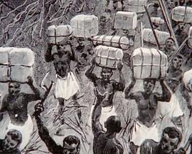 寻宝人系列:非洲古文明 Treasure Seekers: Africa's Forgotten Kingdom的海报