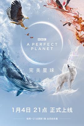 英国纪录片《完美星球 A Perfect Planet》高清下载-八六三纪录片资源网