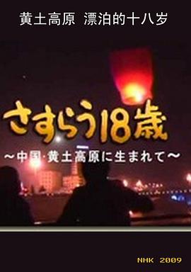 日本，中国大陆纪录片《黄土高原 漂泊的十八岁 さすらう18歳～中国・黄土高原に生まれて～》高清下载-八六三纪录片资源网