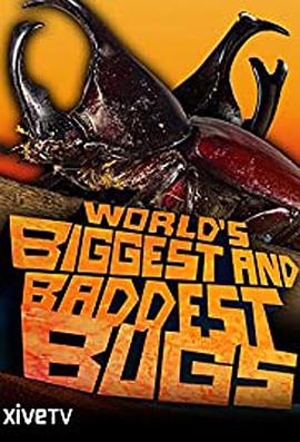 美国纪录片《虫霸天下 World's Biggest and Baddest Bugs》高清下载-八六三纪录片资源网