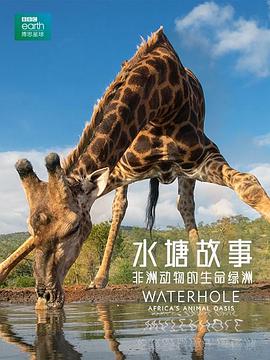 水塘故事:非洲动物的生命绿洲 Waterhole Africa's Animal Oasis的海报