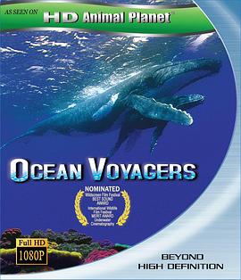 美国纪录片《动物星球系列:鲸奇之旅 Ocean Voyagers》高清下载-八六三纪录片资源网