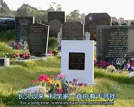英国纪录片《地平线系列：过敏世界 Horizon : Allergy Planet》高清下载-八六三纪录片资源网