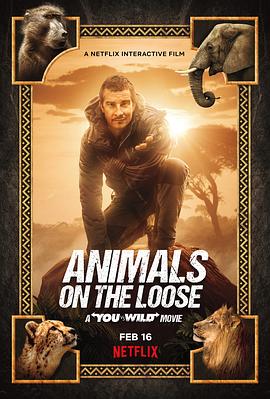 美国纪录片《你的荒野求生电影版：出逃的野兽 Animals on the Loose: A You vs. Wild Movie》高清下载-八六三纪录片资源网