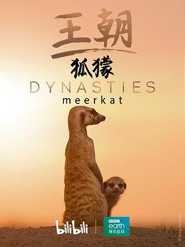 英国纪录片《王朝：狐獴特辑 Dynasties: Meerkat Special》高清下载-八六三纪录片资源网