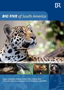 德国纪录片《南美五猛兽 Big Five Südamerika》高清下载-八六三纪录片资源网