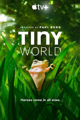 美国纪录片《小小世界 第二季 Tiny World Season 2》高清下载-八六三纪录片资源网