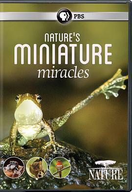 英国纪录片《大自然：自然界的微型奇迹 Natural World:Nature's Miniature miracles》高清下载-八六三纪录片资源网