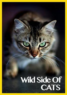 美国纪录片《猫咪的狂野一面 Wild Side of Cats》高清下载-八六三纪录片资源网