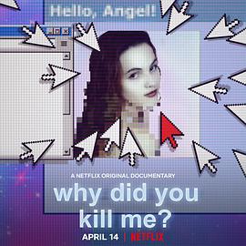 网络缉凶 Why Did You Kill Me?的海报