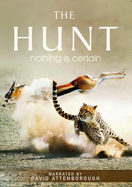 英国纪录片《猎捕 The Hunt》高清下载-八六三纪录片资源网