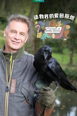 英国纪录片《动物界的爱因斯坦 第一季 Chris Packham's Animal Einsteins Season 1》高清下载-八六三纪录片资源网