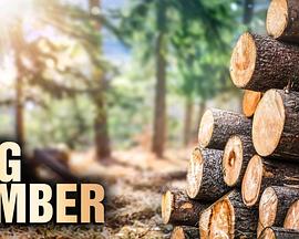 加拿大纪录片《终极伐木达人 第一季 Big Timber Season 1》高清下载-八六三纪录片资源网
