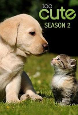 美国纪录片《萌宠成长记 第二季 Too Cute! Season 2》高清下载-八六三纪录片资源网