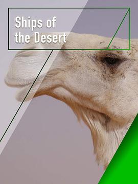 奥地利纪录片《沙漠之舟 Ships of the Desert》高清下载-八六三纪录片资源网