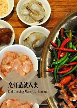 英国纪录片《地平线系列：烹饪造就人类吗 Horizon: Did Cooking Make Us Human》高清下载-八六三纪录片资源网