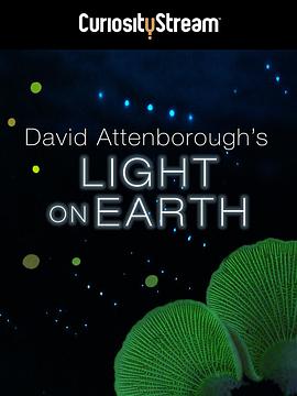 英国纪录片《发光生物 Light on Earth》高清下载-八六三纪录片资源网