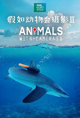 英国纪录片《假如动物会摄影 II Animals with Cameras II》高清下载-八六三纪录片资源网
