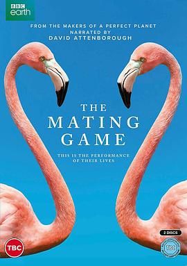 英国纪录片《求偶游戏 The Mating Game》高清下载-八六三纪录片资源网