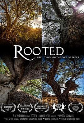 生命之树 Rooted的海报