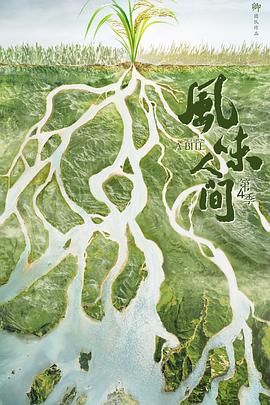 中国大陆纪录片《风味人间 第四季》高清下载-八六三纪录片资源网