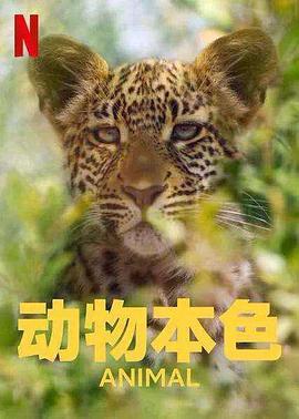 美国纪录片《动物本色 第二季 Animal Season 2》高清下载-八六三纪录片资源网