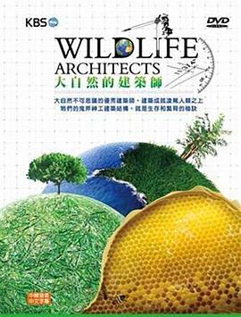 大自然的建筑师 Wildlife Architects的海报