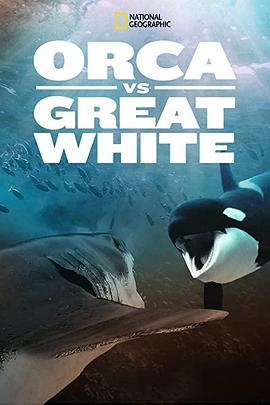 美国纪录片《虎鲸对上大白鲨 Orca vs. Great White》高清下载-八六三纪录片资源网