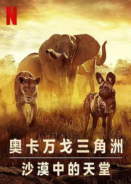 幸存的天堂 Surviving Paradise: A Family Tale的海报