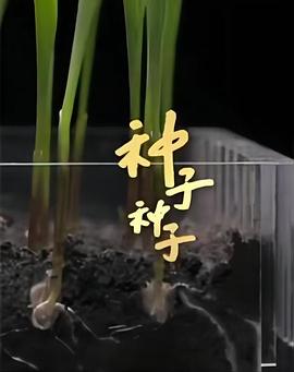 中国大陆纪录片《种子 种子》高清下载-八六三纪录片资源网