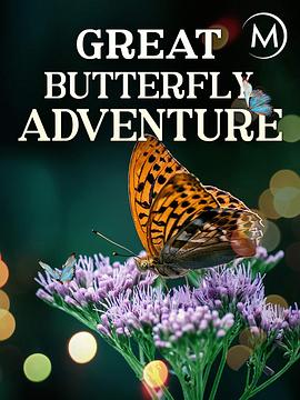 英国纪录片《蝴蝶大冒险 The Great Butterfly Adventure: Africa to Britain with the Painted Lady》高清下载-八六三纪录片资源网