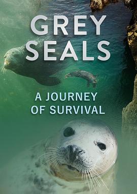 美国纪录片《灰海豹的求生之旅 A Journey of Survival》高清下载-八六三纪录片资源网
