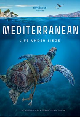 法国纪录片《地中海 Mediterranean: Life Under Siege》高清下载-八六三纪录片资源网