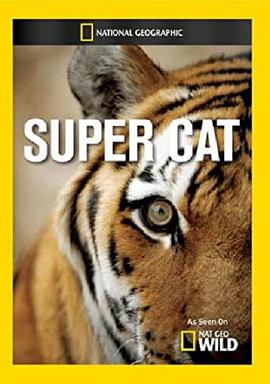 美国纪录片《国家地理：超级大猫 super.cat》高清下载-八六三纪录片资源网