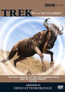 大迁徙 角马群里的间谍 Trek: Spy on the Wildebeest的海报