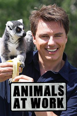 英国纪录片《动物打工记 Animals at Work》高清下载-八六三纪录片资源网