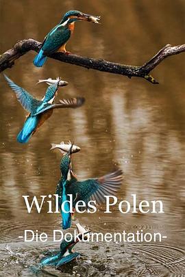 野性波兰 Wildes Polen的海报