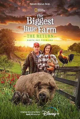 美国纪录片《最大的小小农场：回归 The Biggest Little Farm: The Return》高清下载-八六三纪录片资源网