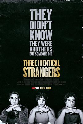英国纪录片《孪生陌生人 Three Identical Strangers》高清下载-八六三纪录片资源网