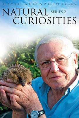 自然趣闻 第二季 David Attenborough's Natural Curiosities Season 2的海报