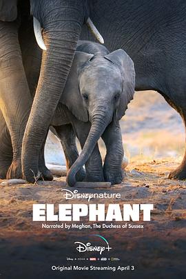 美国纪录片《大象 Elephant》高清下载-八六三纪录片资源网