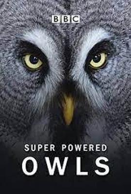 英国纪录片《超能猫头鹰 Natural World: Super Powered Owls》高清下载-八六三纪录片资源网