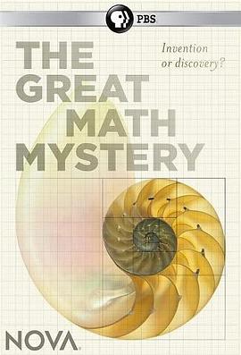 美国纪录片《新星：数学大谜思 Nova:The Great Math Mystery》高清下载-八六三纪录片资源网