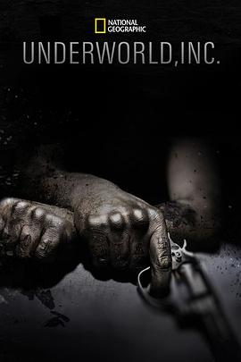 美国纪录片《黑市大企业 第一季 Underworld Inc. Season 1》高清下载-八六三纪录片资源网